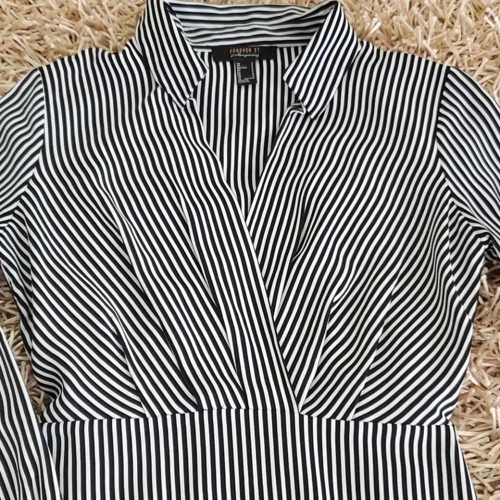 🦓 - Picture 2 of 4